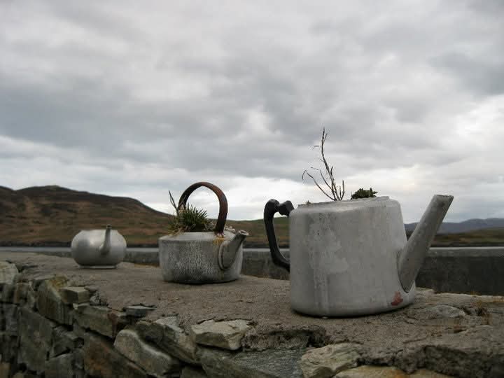 Kitchen – croft