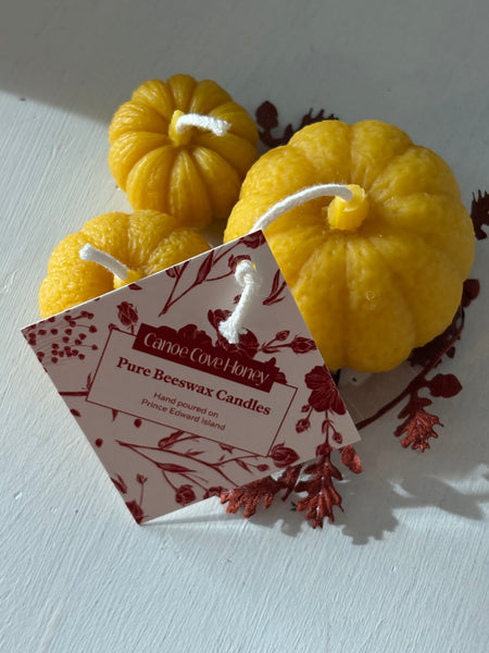 Pumpkin Trio Beeswax Candles