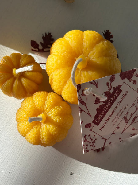 Pumpkin Trio Beeswax Candles