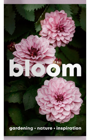 BLOOM Magazine Issue 16 – Spring Summer 2024