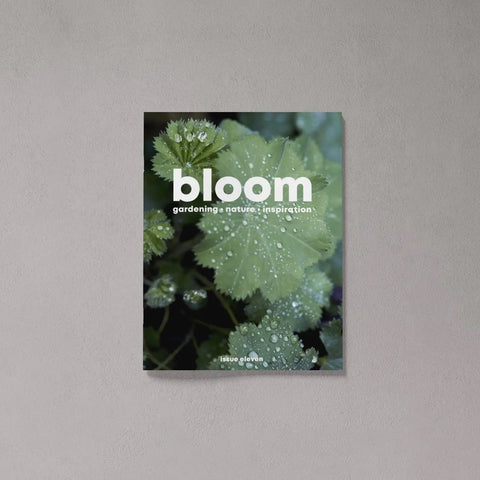 BLOOM Magazine Issue 11 – Spring 2022