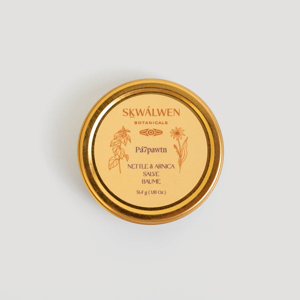 PÁ7PAWTN NETTLE and ARNICA SORE MUSCLE SALVE