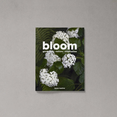 BLOOM Magazine Issue 12 – Summer 2022