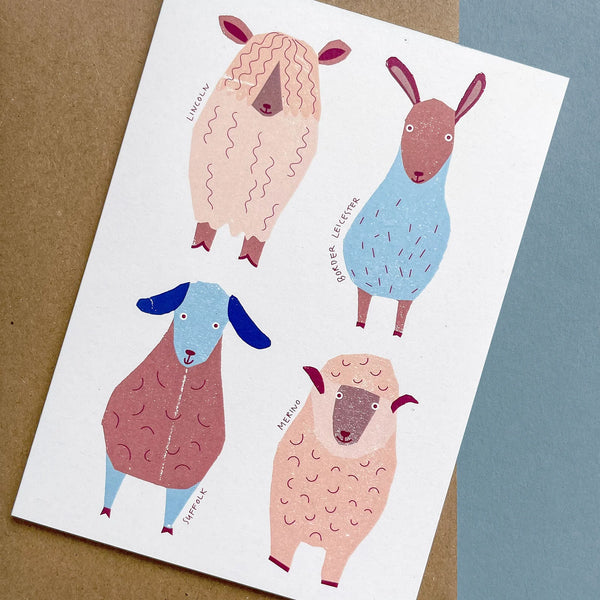 Greeting Card - Sheep