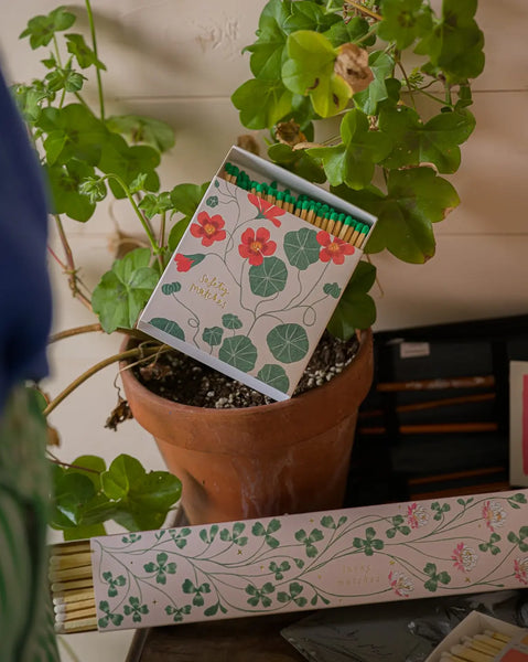 Nasturtium | Square Safety Matches