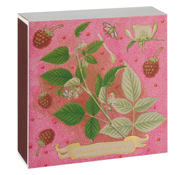 Rose Framboise | Square Safety Matches
