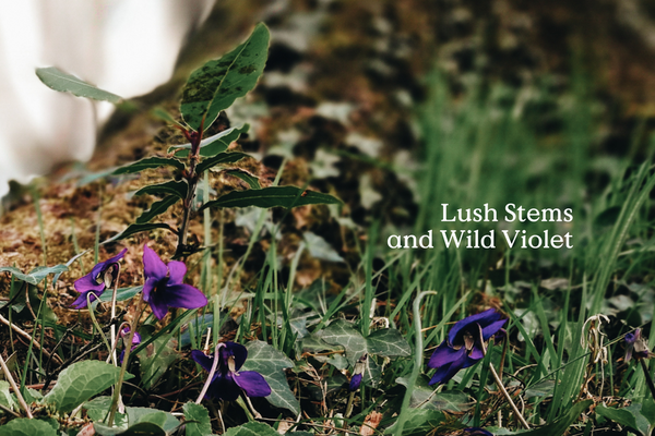 Kin Fieldday Incense