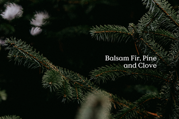 Classic Fir Air Freshener