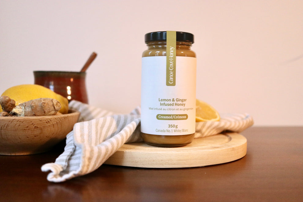Canoe Cove Lemon Ginger Creamed Honey