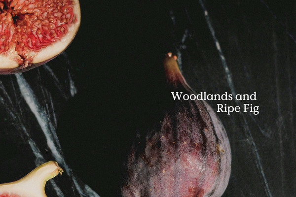 Forage Fieldday Incense