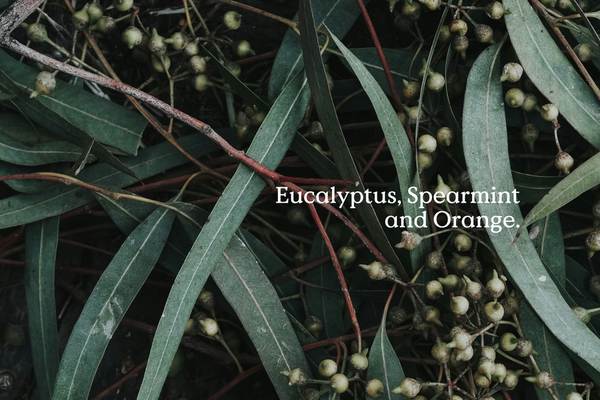 All is Calm Air Freshener